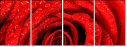 112923652