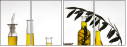 13720078