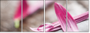 15999770