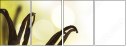 20383309