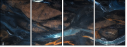 208549186