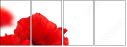 22836403