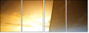 23897249