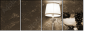 25666505