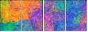 265907808