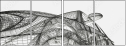 27014527