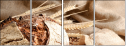 28431583