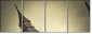 28559738