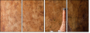 29012971