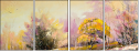 29135500