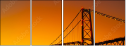 293004009