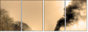 29517510