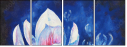 29661116