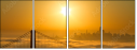 300812119