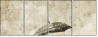 30497770