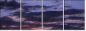 30561905
