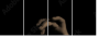 33360952