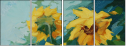33565665