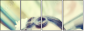 34322843