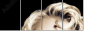 34938176