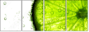 35158909
