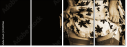 35392166