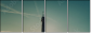 35687420