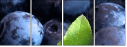 4030305