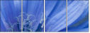 42882077