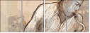 42960338