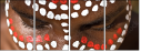 4332729