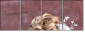 43471205