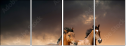 45981925