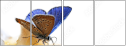 48135566