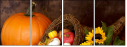 4889858