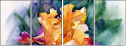 49614192