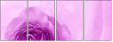 52109021