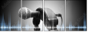 52239812