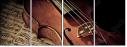 53848073