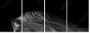 55501476
