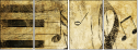 5643987