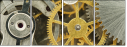 56949725