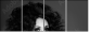 59537823