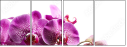 60209839
