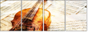 60252924