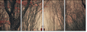 60442499