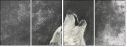 61243496