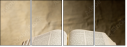 62217650