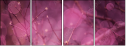 64114474