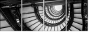 64699610